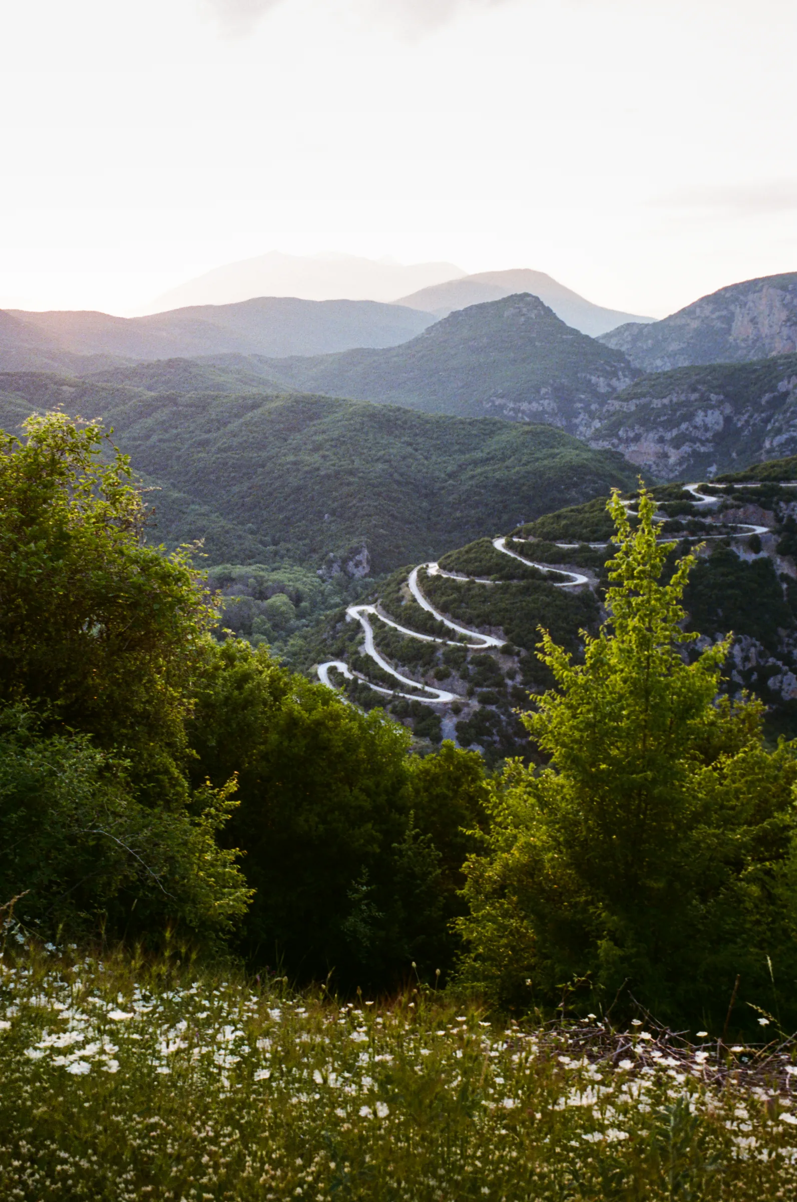 A winding mountain road through a green valley at dusk, with the frame shifted to simulate view-camera rise, fall and shift